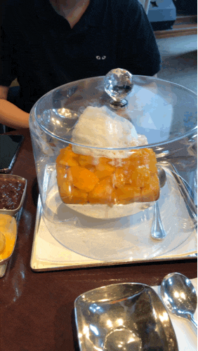  [장충동] 핫하디핫한 신라호텔 "애플망고빙수"솔직후기