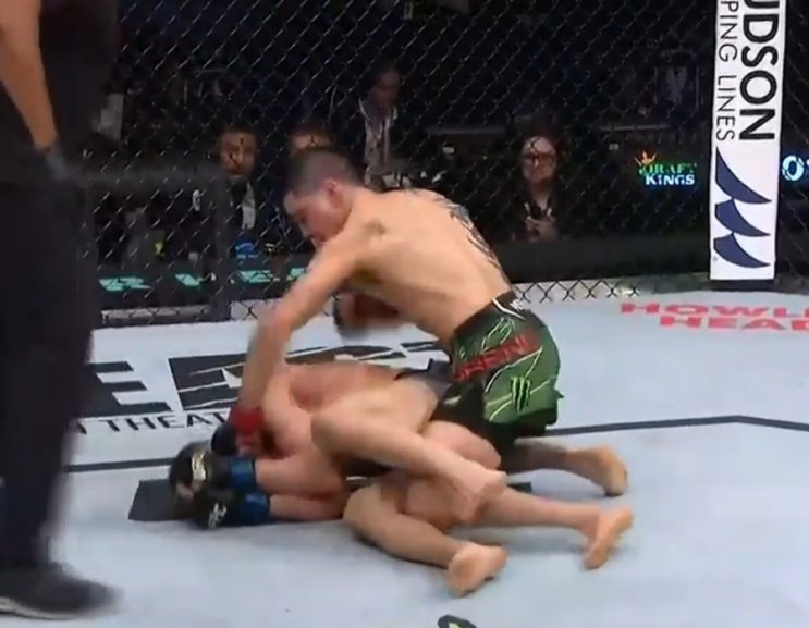  브랜든 모레노, UFC 플라이급 잠정챔피언 등극