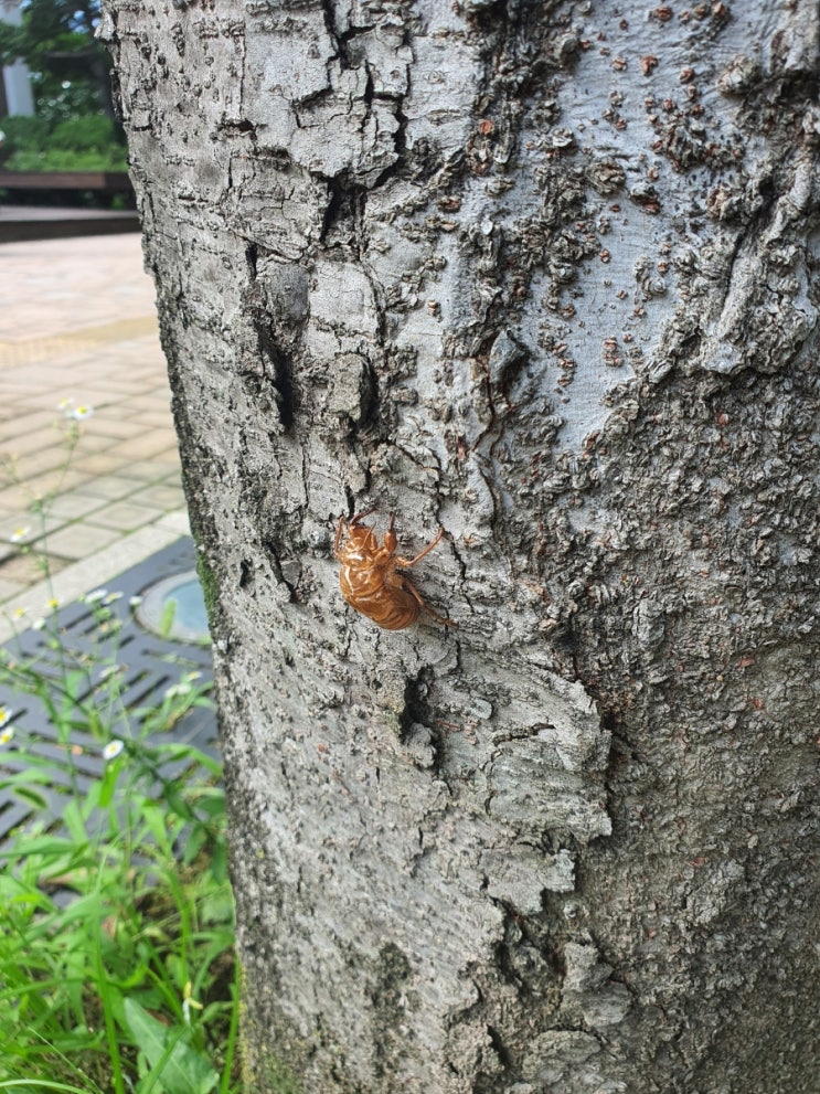  [주간일기 챌린지 8] 7월 5째주 주간 일기