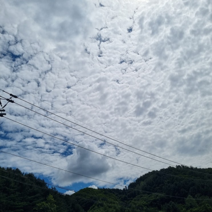주간일기 : 쉼