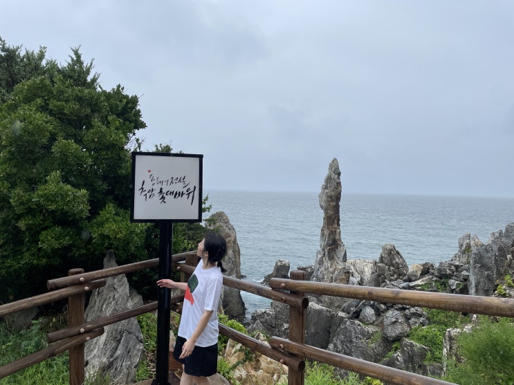  강원도2박3일 전복해물뚝배기, 추암촛대바위, 추암출렁다리, 동해에서 정선으로, 나전역카페