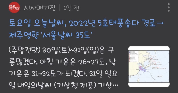  평범한 주말 일상