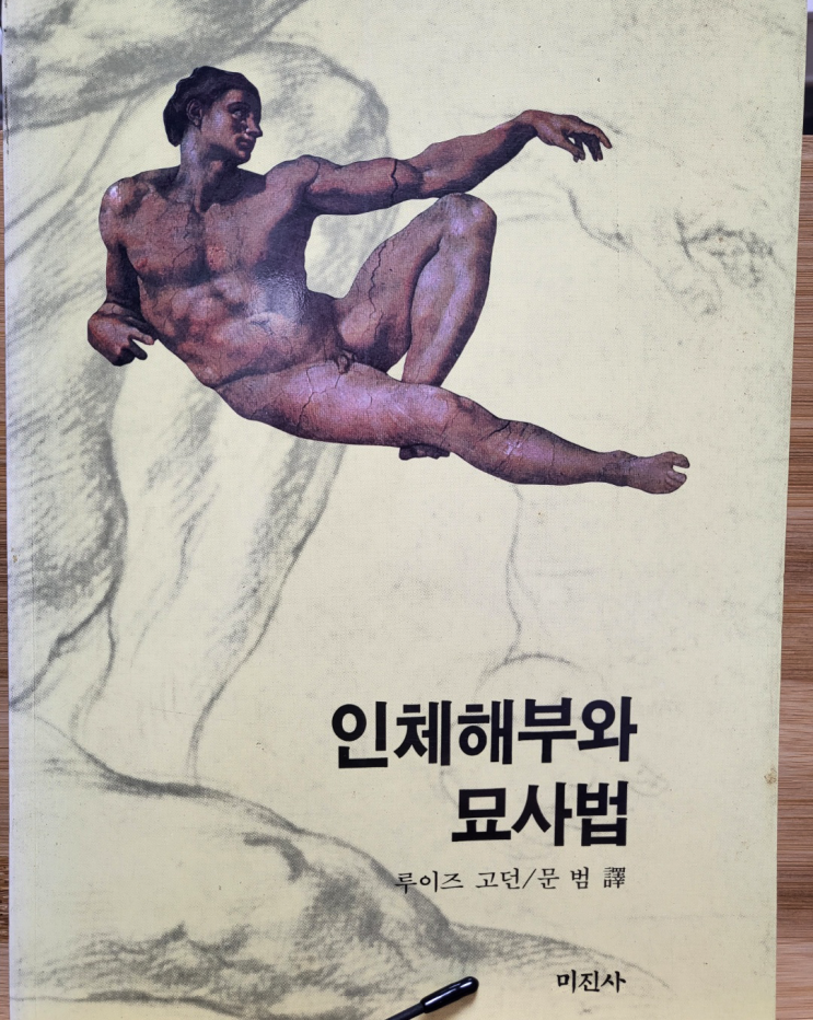 인체해부와 묘사법 - 얼굴, 몸통
