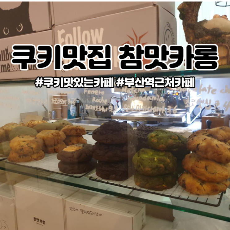  쿠키 맛집:) 참맛카롱ㅣ부산역 근처 카페ㅣ초량 카페