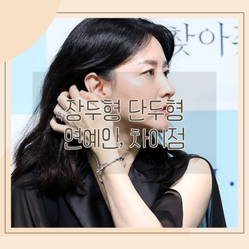 장두형 단두형 연예인&차이점 알아보기