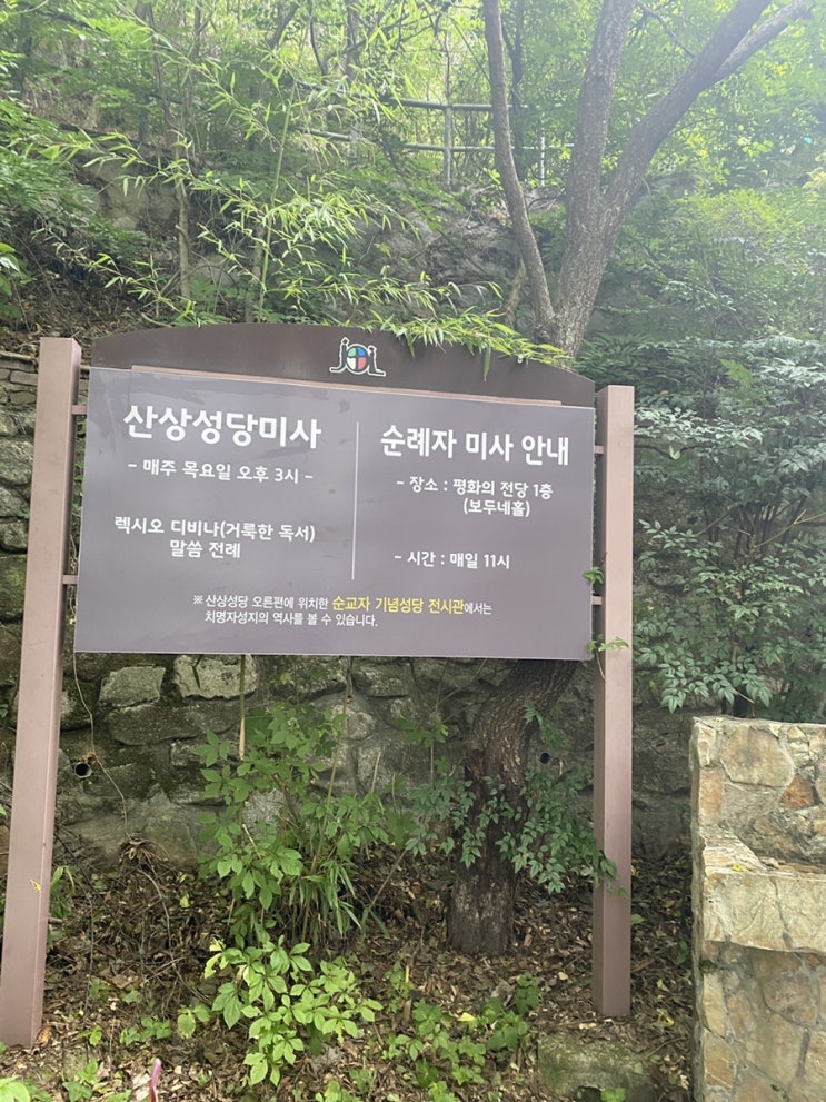  [7월 4째주]