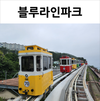  해운대 블루라인파크 캡슐열차 미포에서 청사포까지 둘러보기