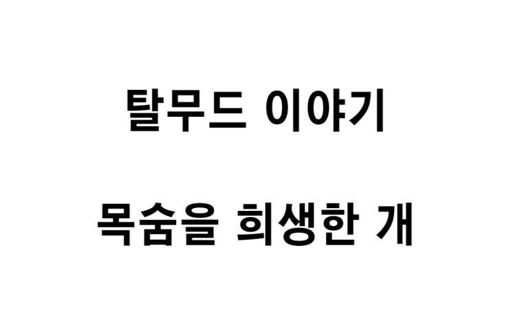  [탈무드 이야기] 목숨을 희생한 개