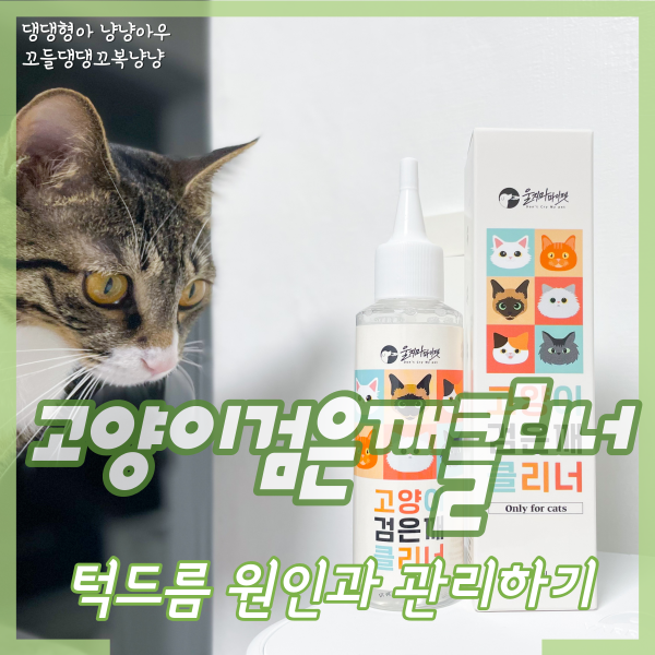  고양이턱드름 관리, 순하디 순한 울지마마이펫 검은깨 클리너