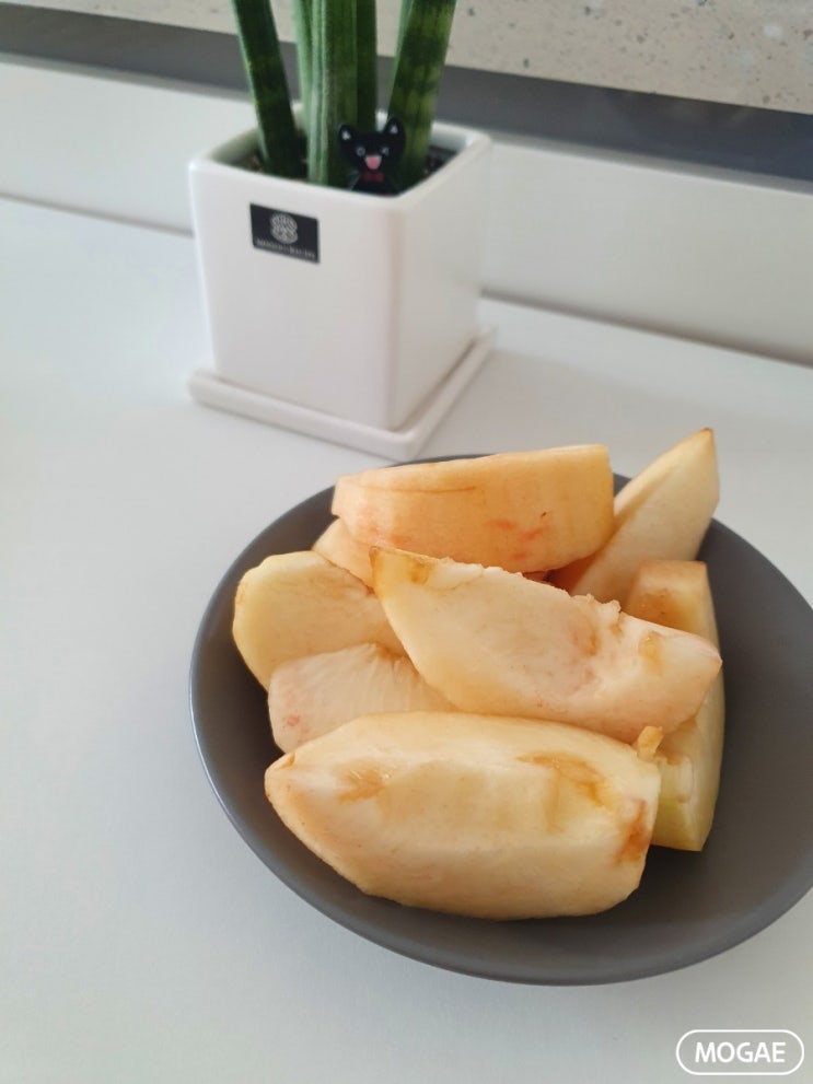  주간 일기 I 갑자기 확진이요?