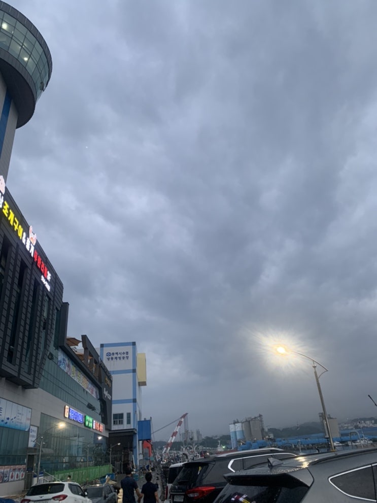  동해