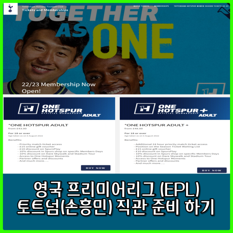 프리미어리그 토트넘 직관 준비하기 - 핫스퍼 회원가입 / 멤버십 가입 / 네트워크 연결하는 방법 총 정리