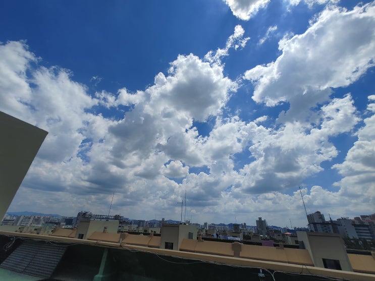 잡설 29. 220730 부평 문화의 거리
