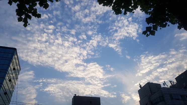 [7월 4주차]하늘이 예뻤던 한 주