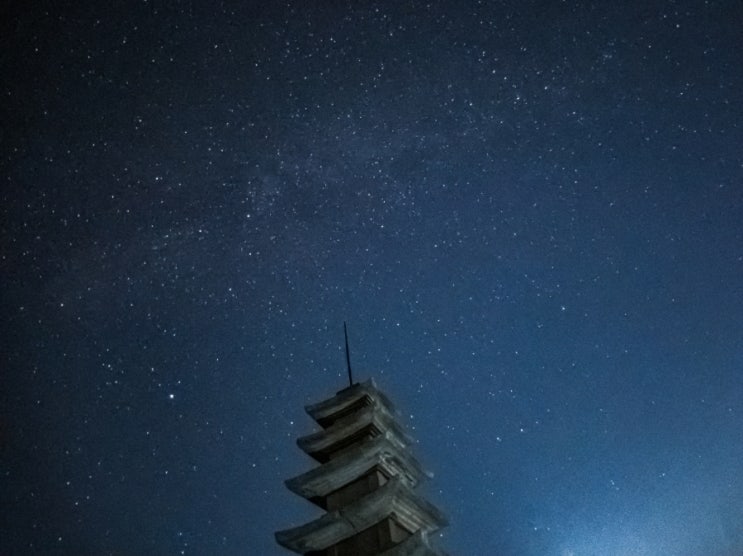  7월 넷째 주 주간 일기 챌린지