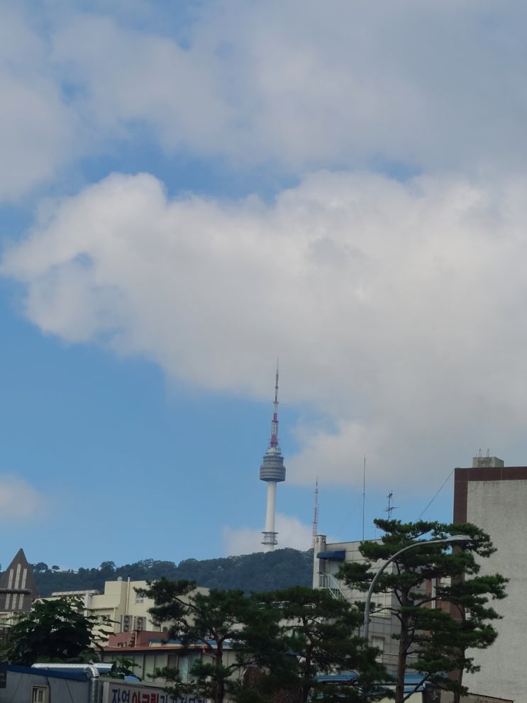  7월4주차 주간일기 / 약속안잡기, 가족행사, 영등포 싱싱프롯 과일선물 추천