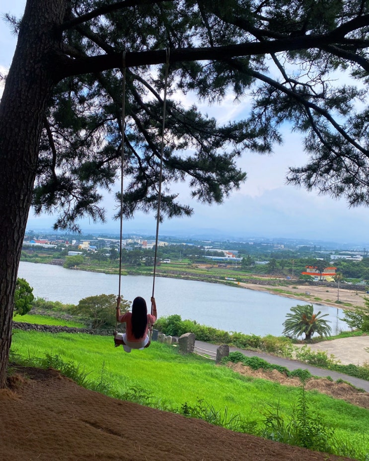  제주도여행 3 : 제주 서쪽 여행 (+판포포구, 금능식당, 동문야시장, 커피냅로스터스)