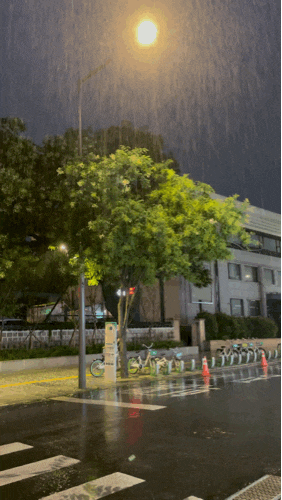 비️  - 성대마트서 장보기