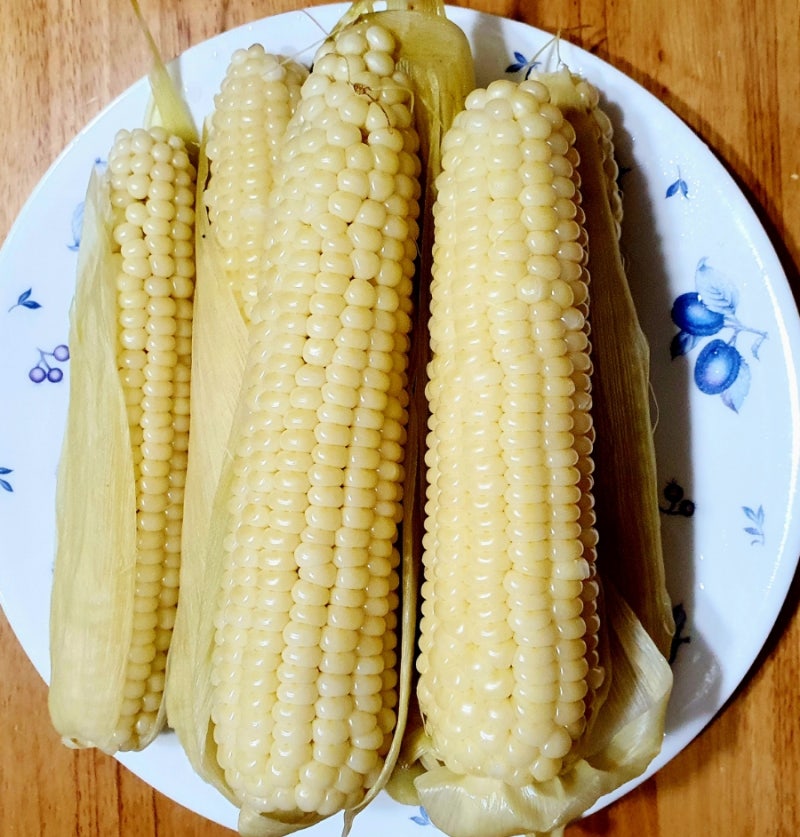 냉동옥수수 해동 삶아 얼린 냉동옥수수 맛있게 찌는법