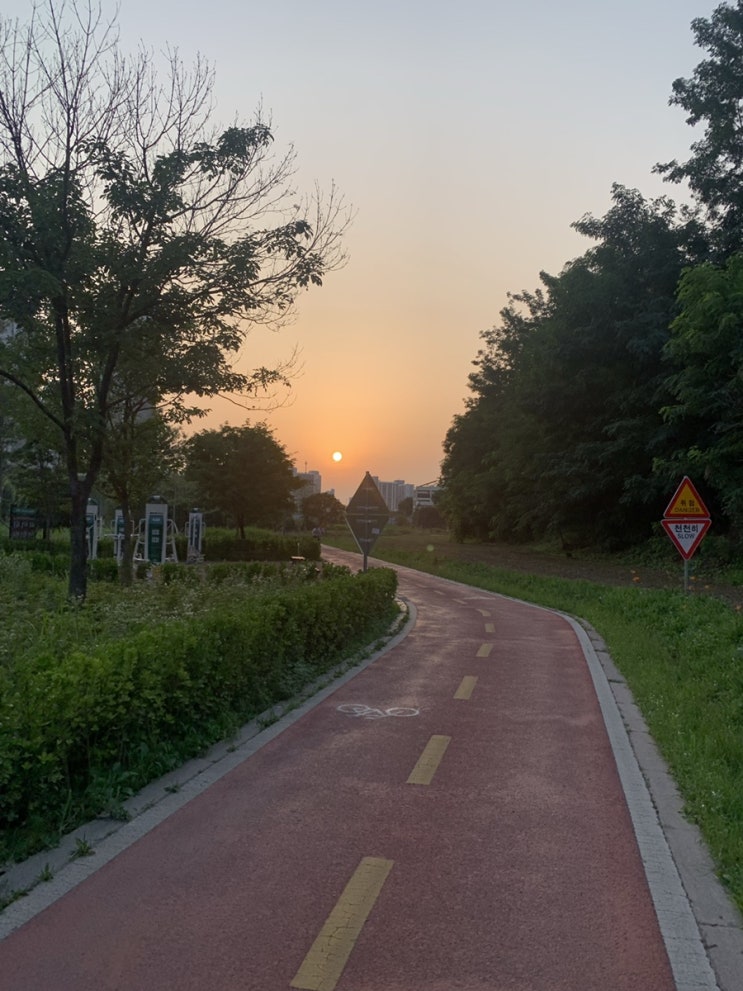  7월의 끝