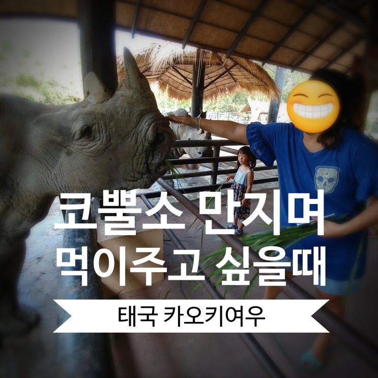 [태국 방콕 아이와] 코뿔소 만지며 먹이주기! 카오키여우 오픈주