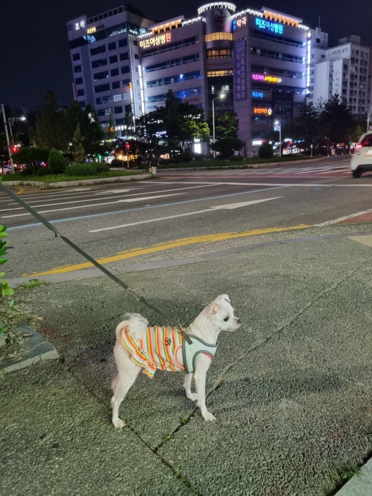  (놀기만 한) 일주일 기록