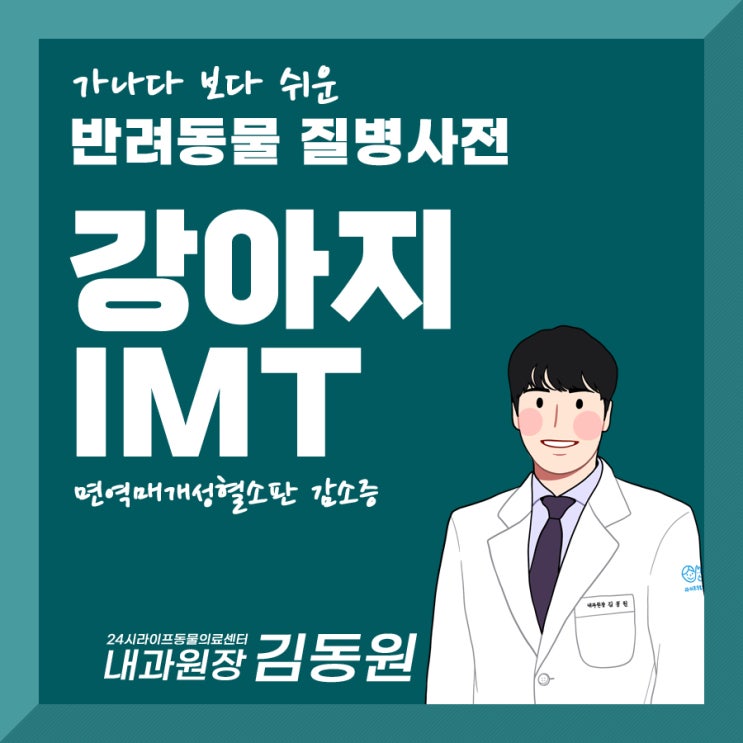 강아지 IMT, 쉽게 알아보는 강아지 면역매개질환 : 대구 달서구동물병원 24시라이프동물의료센터 강아지 IMT, 쉽게 알아보는 강아지 면역매개질환 : 대구 달서구동물병원 24시라이프동물의료센터