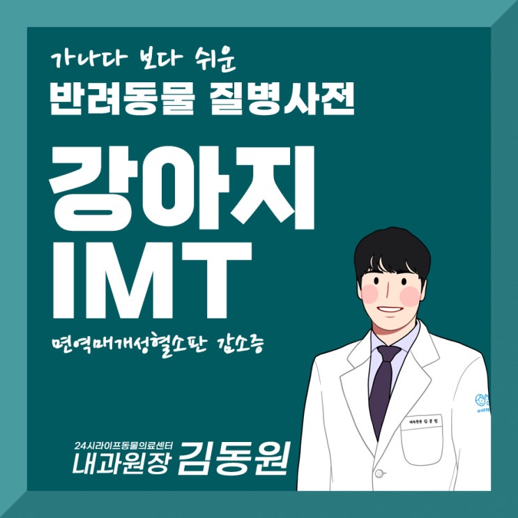 강아지 IMT, 쉽게 알아보는 강아지 면역매개질환 : 대구 달서구동물병원 24시라이프동물의료센터