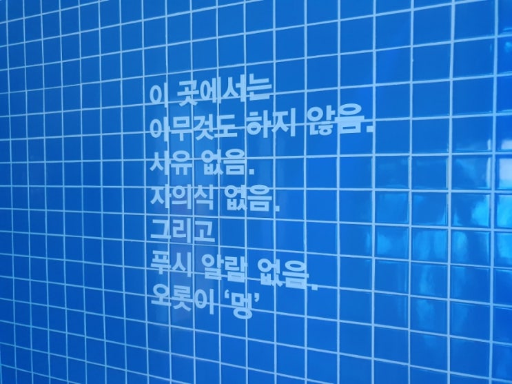 휴가를 마치며 