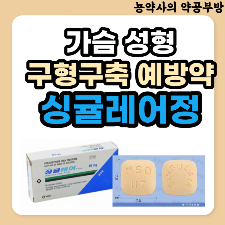  싱귤레어정, 천식약이 가슴성형 구형구축 예방약? (원인,증상,복용시기,부작용)