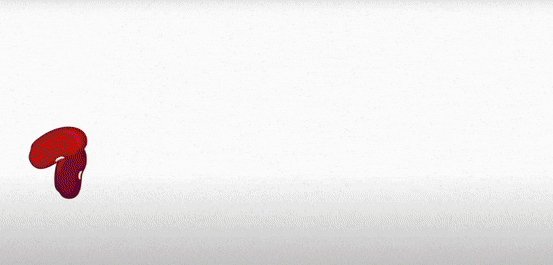  광주에펙학원 : 기초부터 심화까지 체계적으로