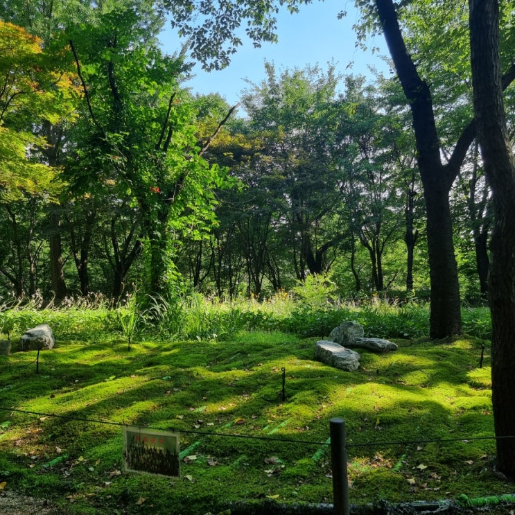  이제 8월이야~