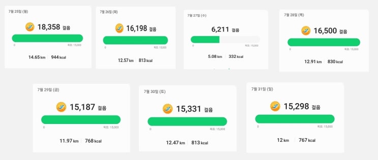 7월 25일 ~ 7월 31일 걷기 운동(26일 실패)