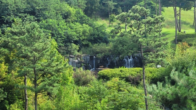 슬로우 충남 부여 규암 편안한 가족 힐링 여행 롯데리조트부여 숙소 예약 방법