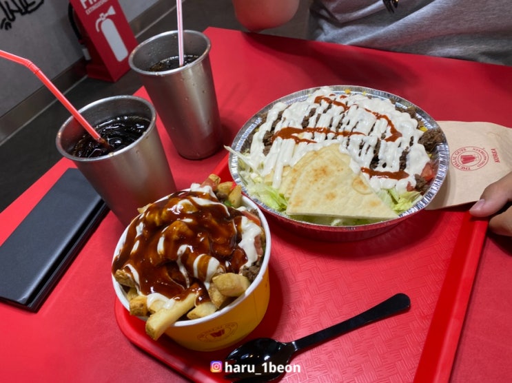  강남 맛집 | 할랄가이즈 강남점, 신논현역에서 맛보는 뉴욕 할랄푸드 / 2인 메뉴 추천
