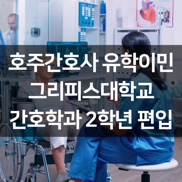  호주간호사 유학 후 이민 : 그리피스대학교 간호학과 2학년 편입 방법