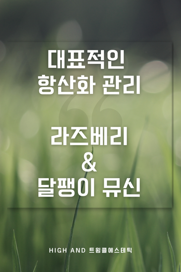  색소침착,여드름관리엔 천연 항산화 관리로 이상적인 피부 만들기