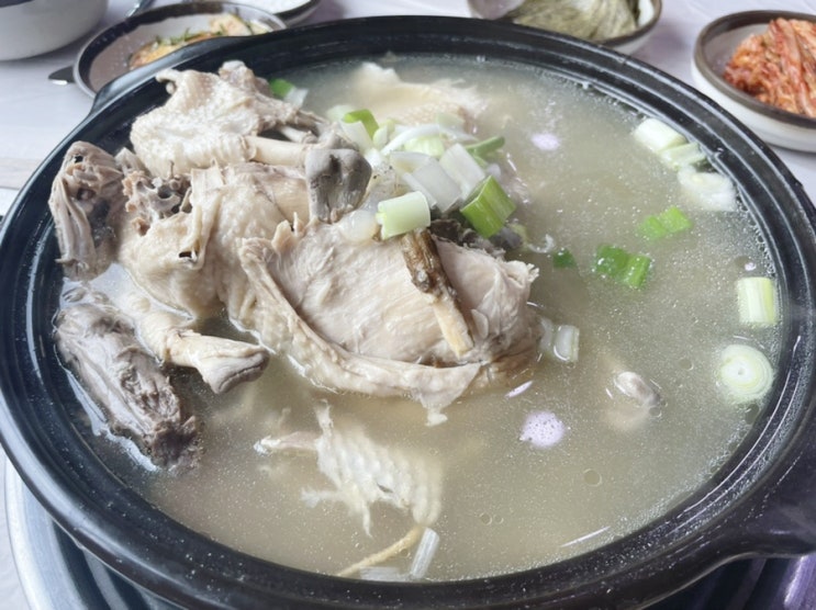  통영 닭백숙은 대평가든으로 갑시당
