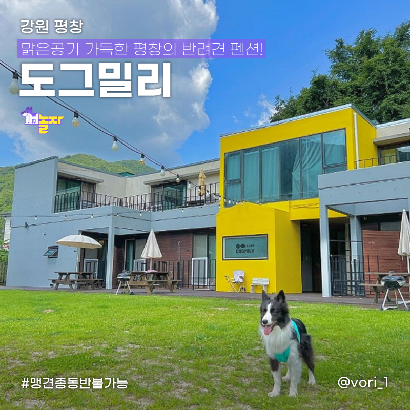 사진 5