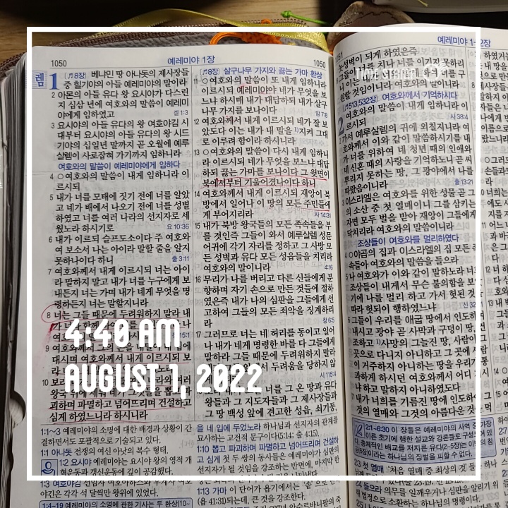  8월 514챌린지-나를 확장하는 법(213일차)