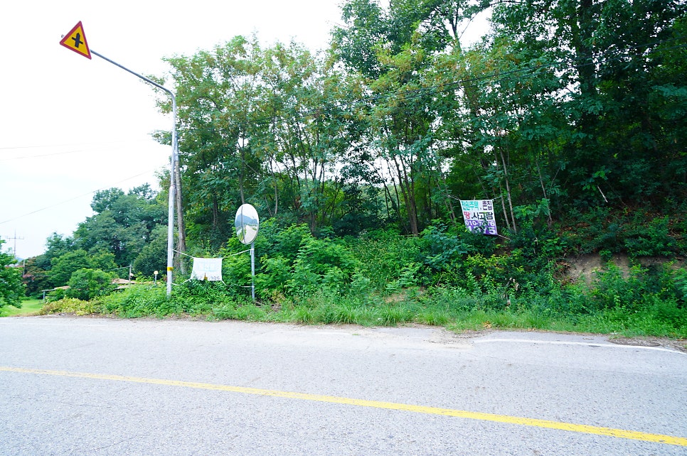 자파산 사진 4
