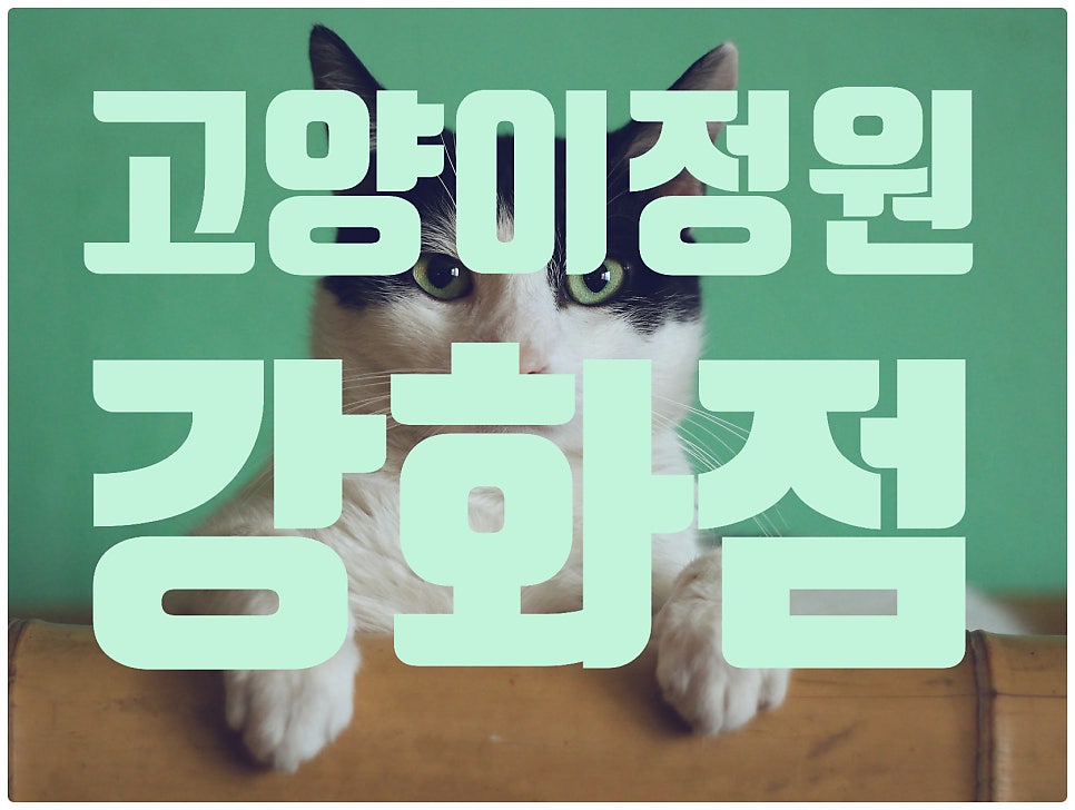 고양이정원 강화점 사진 3