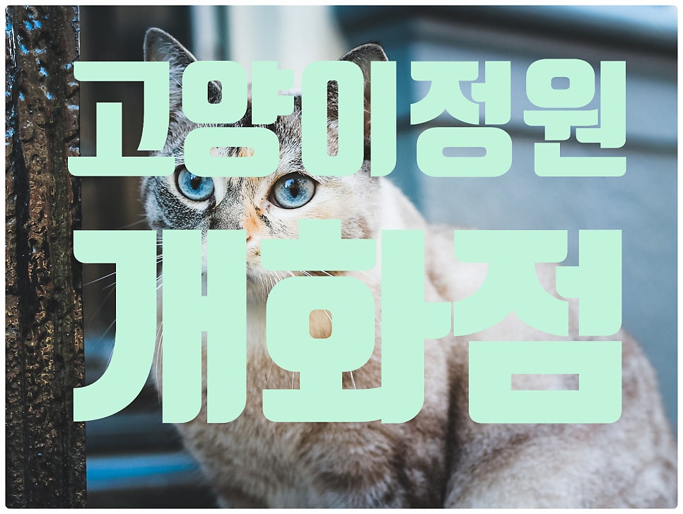 고양이정원 강화점 사진 2
