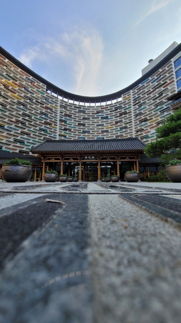  충남 부여 규암 여유로운 가족 힐링 여행 롯데리조트부여 클린 숙소