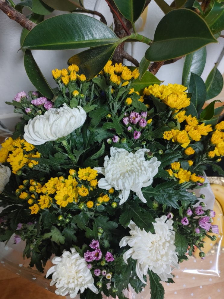  엄마 기일 1주기