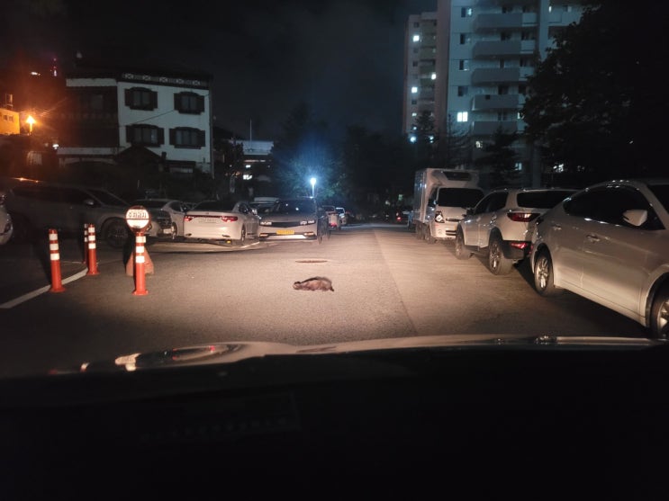  [일상] 2022.08.01(월) 일기_ 월요일 시작