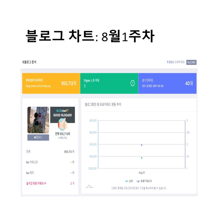  블로그차트 : 8월1주차