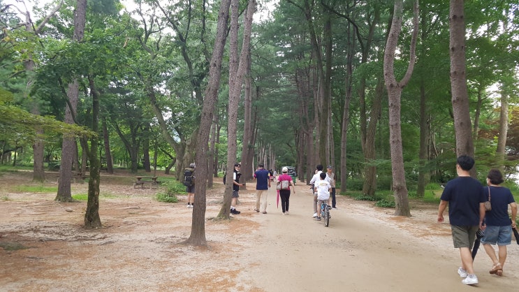호반의 도시 춘천에서 여름 휴가.. 호반의 도시 춘천에서 여름 휴가..