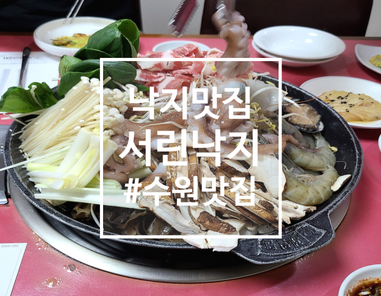  수원 낙지 맛집, 해물파전 회식장소 영통구 서린낙지