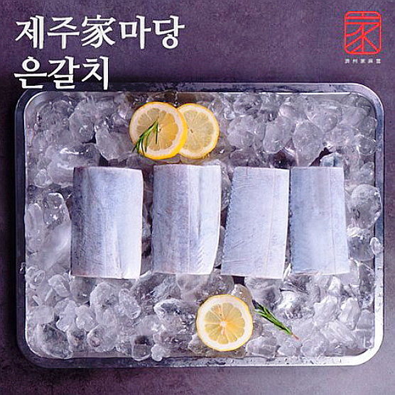  제주가마당 대왕특대 제주 은갈치